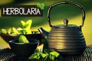 Black iron asian teapot with sprigs of mint for tea