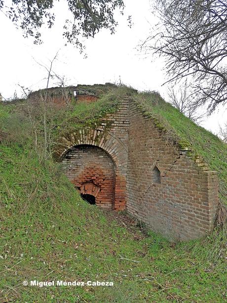 Ruta entre Encinas y Alcornoques: De Torralba a Velada