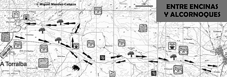 Ruta entre Encinas y Alcornoques: De Torralba a Velada