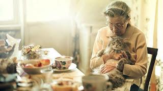 Mascotas en las residencias, una terapia que aporta felicidad a los mayores