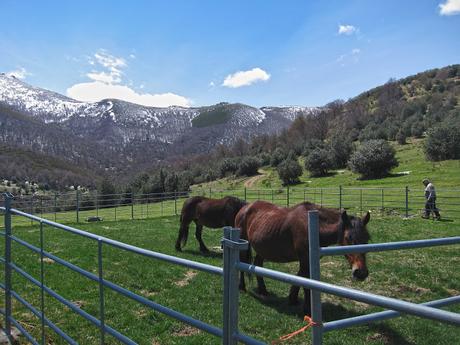 PEÑA TROMEU DESDE VILLANUEVA