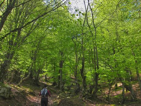 PEÑA TROMEU DESDE VILLANUEVA