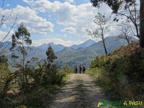 Ruta al PICO COGOLLA desde AVALLE, Parres Pista forestal para llegar a Dego
