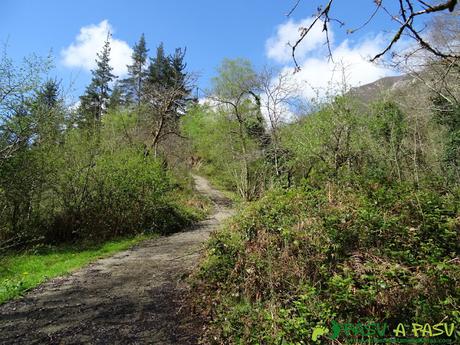 Ruta al PICO COGOLLA desde AVALLE, Parres Tramo pendiente subiendo al Pico Cogolla