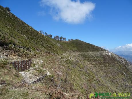 Ruta al PICO COGOLLA desde AVALLE, Parres Pista en el Monte Cogolla y refuerzo