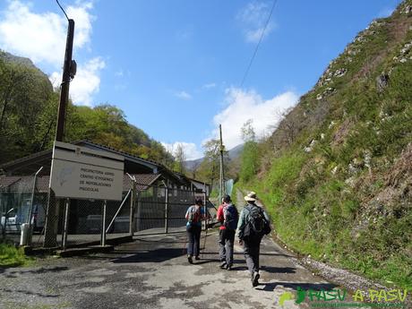 Ruta al PICO COGOLLA desde AVALLE, Parres Piscifactoría Avalle
