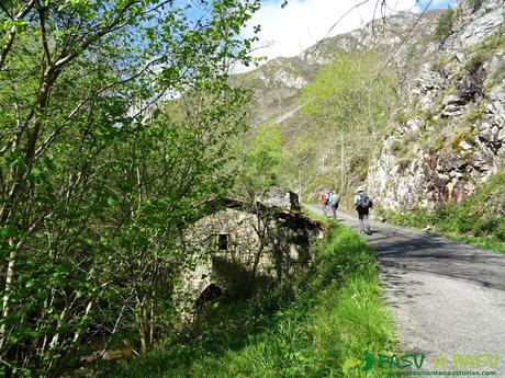 Ruta al PICO COGOLLA desde AVALLE, Parres Molino saliendo de Avalle, Parres