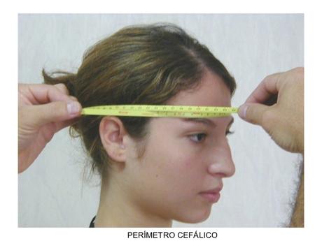 Resultado de imagen de antropometrÃ­a miden cabezas de adolescentes