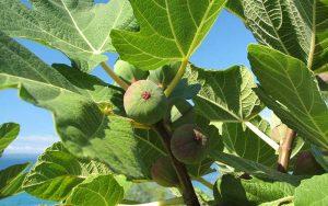 Vacaciones en mi pueblo¡¡¡