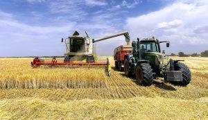 Vacaciones en mi pueblo¡¡¡