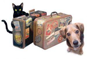 Vacaciones en la playa…?? ofú