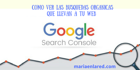 Como ver las busquedas organicas en Google Search Console | Maria en la red