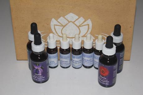 LAS ESENCIAS FLORALES