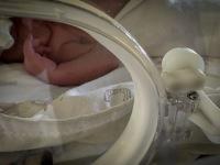 IMG-4049 IMG-4049