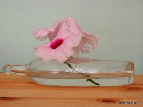 De vuelta con los biberones... De vuelta con los biberones...