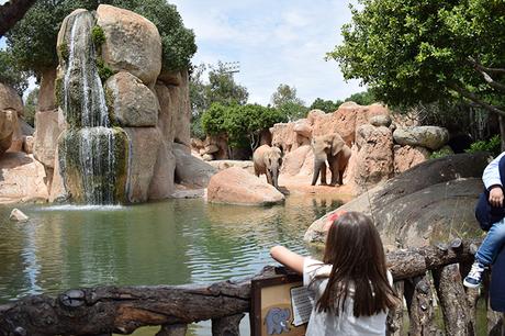 Viajar con niños a Valencia con la Experiencia Muchosol!!! Viajar con niños a Valencia con la Experiencia Muchosol!!!