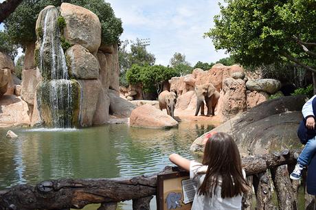 Viajar con niños a Valencia con la Experiencia Muchosol!!!