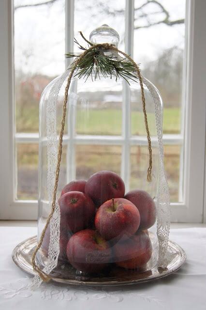 10689501_10206150405309353_5735574480485020986_n