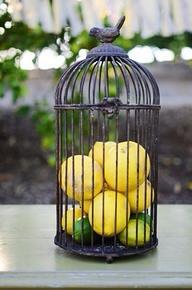 11023892_10206150405549359_475231634594037258_n