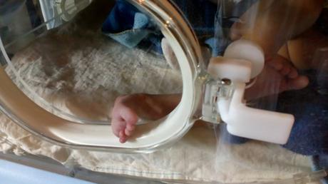 Jamila quiere salir de la incubadora