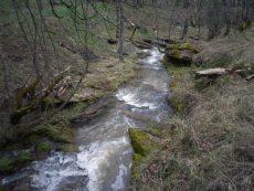 Arroyos estacionales de la Sierra Norte