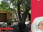 Taller Creativo Blog: boceto para venta chalets populares