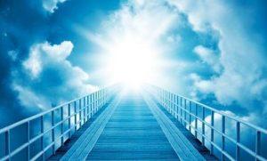 Caí en depresión cuando perdí a mi gato