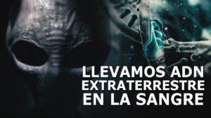 Origen del Factor RH Negativo: Extraterrestres, dioses o reptilianos rh