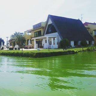 PASEO POR EL PARQUE NATURAL DE LA ALBUFERA DE VALENCIA