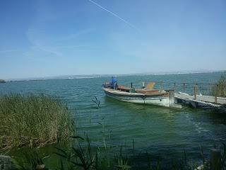 PASEO POR EL PARQUE NATURAL DE LA ALBUFERA DE VALENCIA