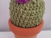Cactus suspiro