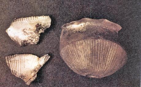 Camino del los Bandoleros a Guadalupe: Las Herencias - Aldeanueva