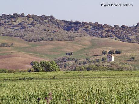 Camino del los Bandoleros a Guadalupe: Las Herencias - Aldeanueva