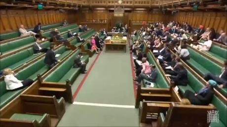 Hamas es responsable de las muertes en Gaza: lo que los medios NO te dicen