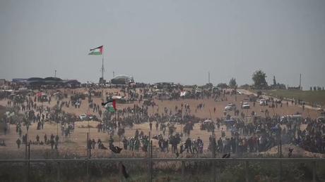 Hamas es responsable de las muertes en Gaza: lo que los medios NO te dicen