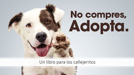 “Un libro para los callejeritos”