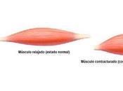 mejores relajantes musculares naturales