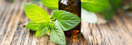 Aceite de menta