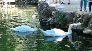 El parque de Sevilla