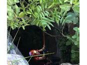 Campeonato andaluz travesía cueva