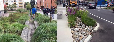 ¿Pueden las soluciones basadas en la naturaleza reactivar la economía de tu barrio o mejorar la cohesión social?