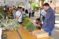 Associacio Art del Bonsai - Associacio Bonsai del Vallès
