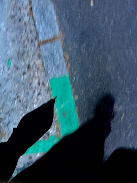 La imagen puede contener: calzado y exterior