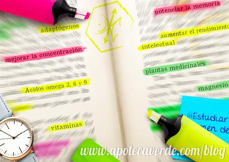 8 consejos naturales para potenciar la memoria