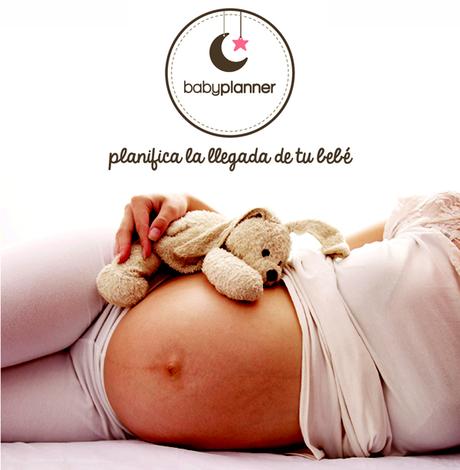 La ayuda en el embarazo de una Baby Planner