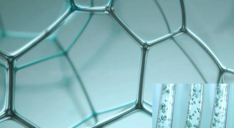 Delvolviendo a mi Piel sus Niveles Óptimos de Hidratación Delvolviendo a mi Piel sus Niveles Óptimos de Hidratación