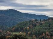 Bosques Berguedà