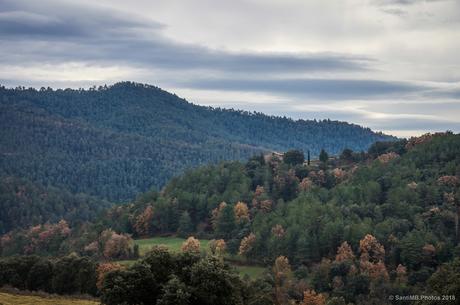 Bosques del Berguedà
