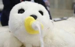 Gatos: enigmas e historia.