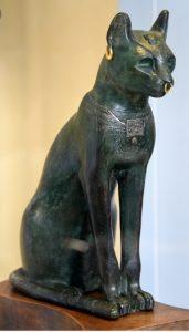 Gatos: enigmas e historia.